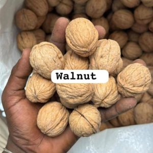 WALNUT